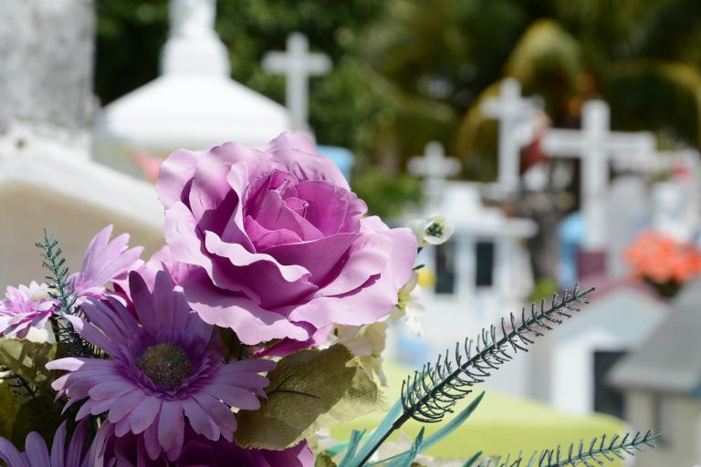 flowers, nature, cemetery-948048.jpg